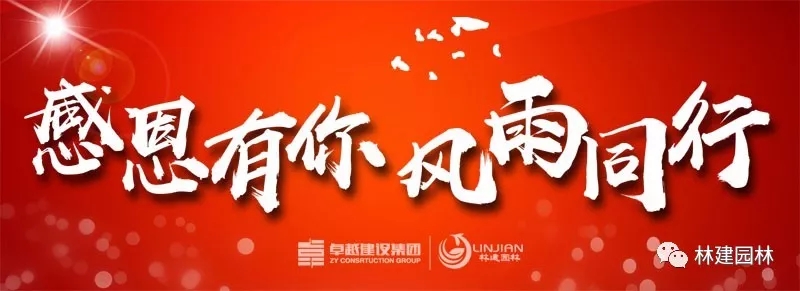 640.webp.jpg 640.webp.jpg